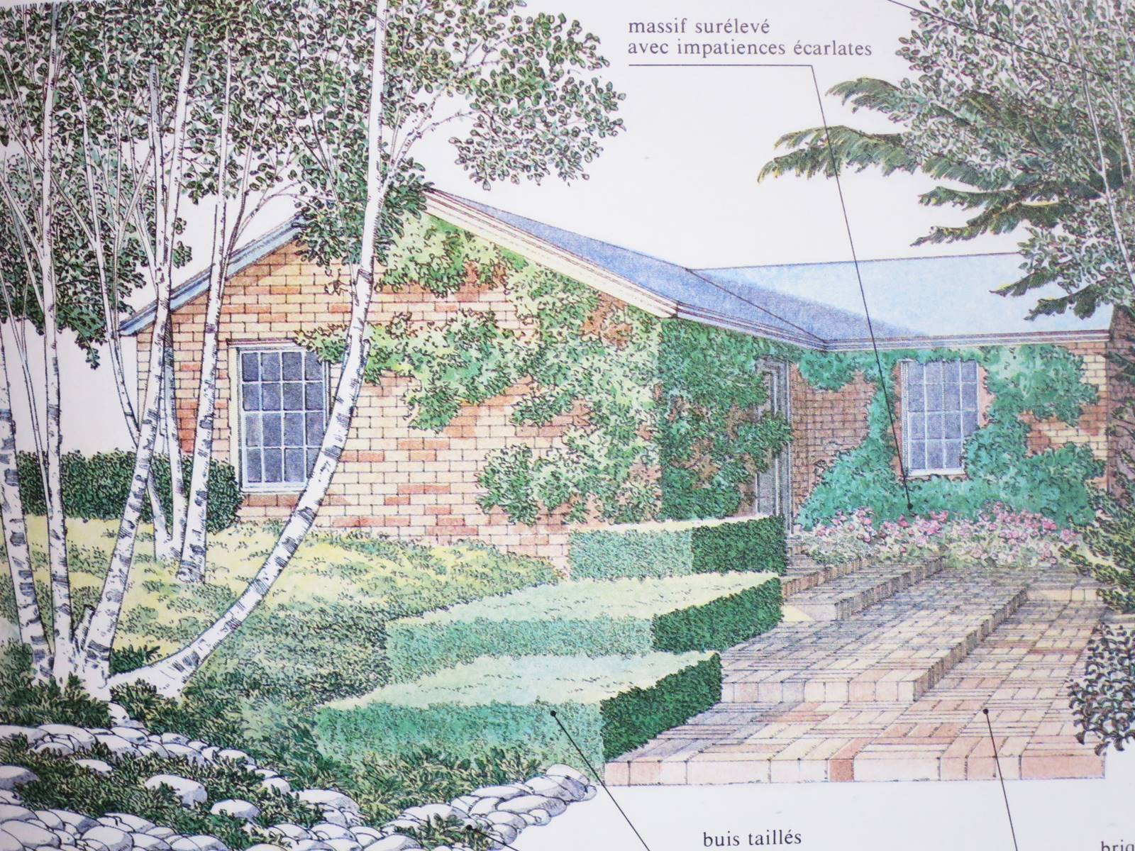 J Brookes landscape designer (26)