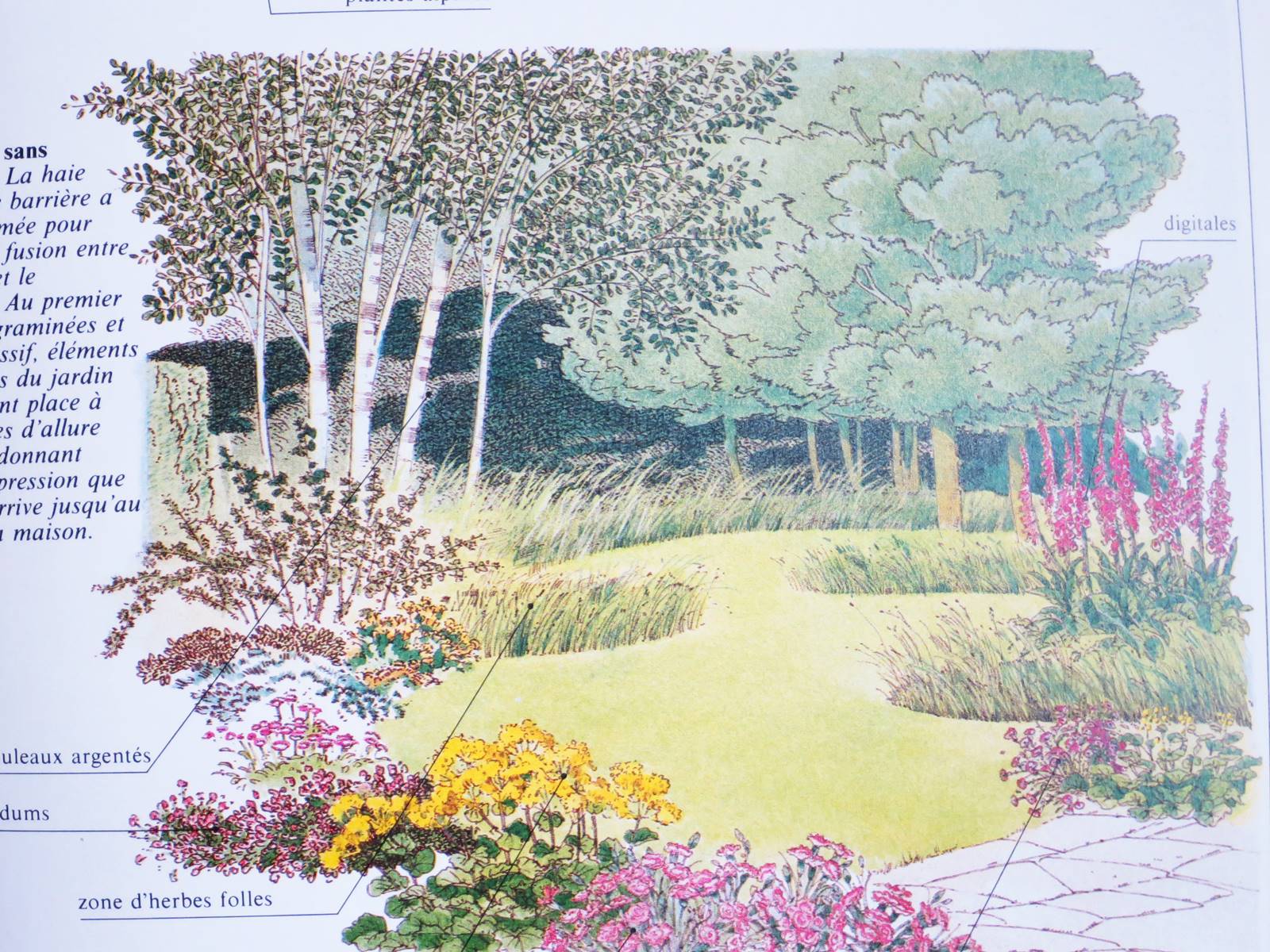 J Brookes landscape designer (27)