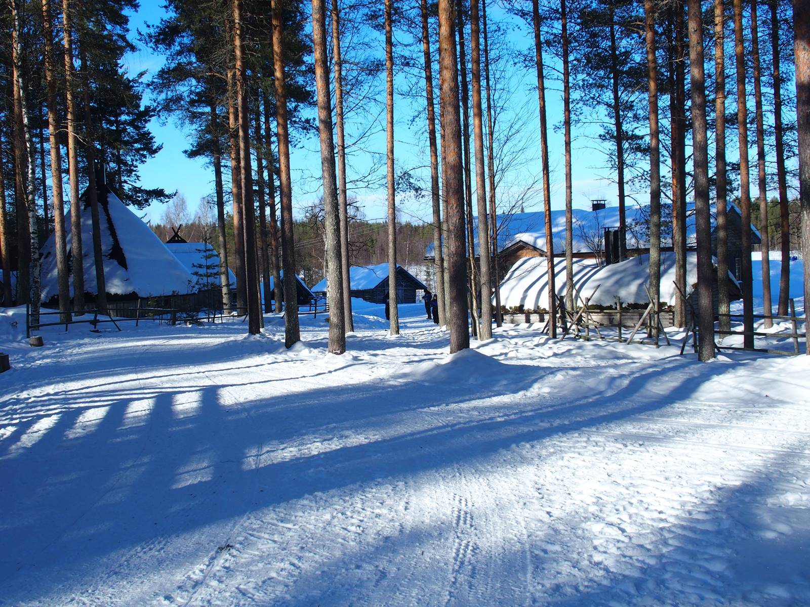 Ferme aux rennes Sieroporo