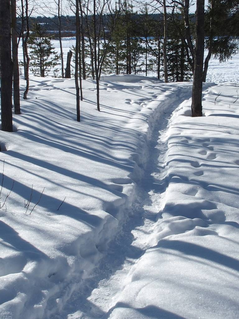 Lomavekarit Apartments