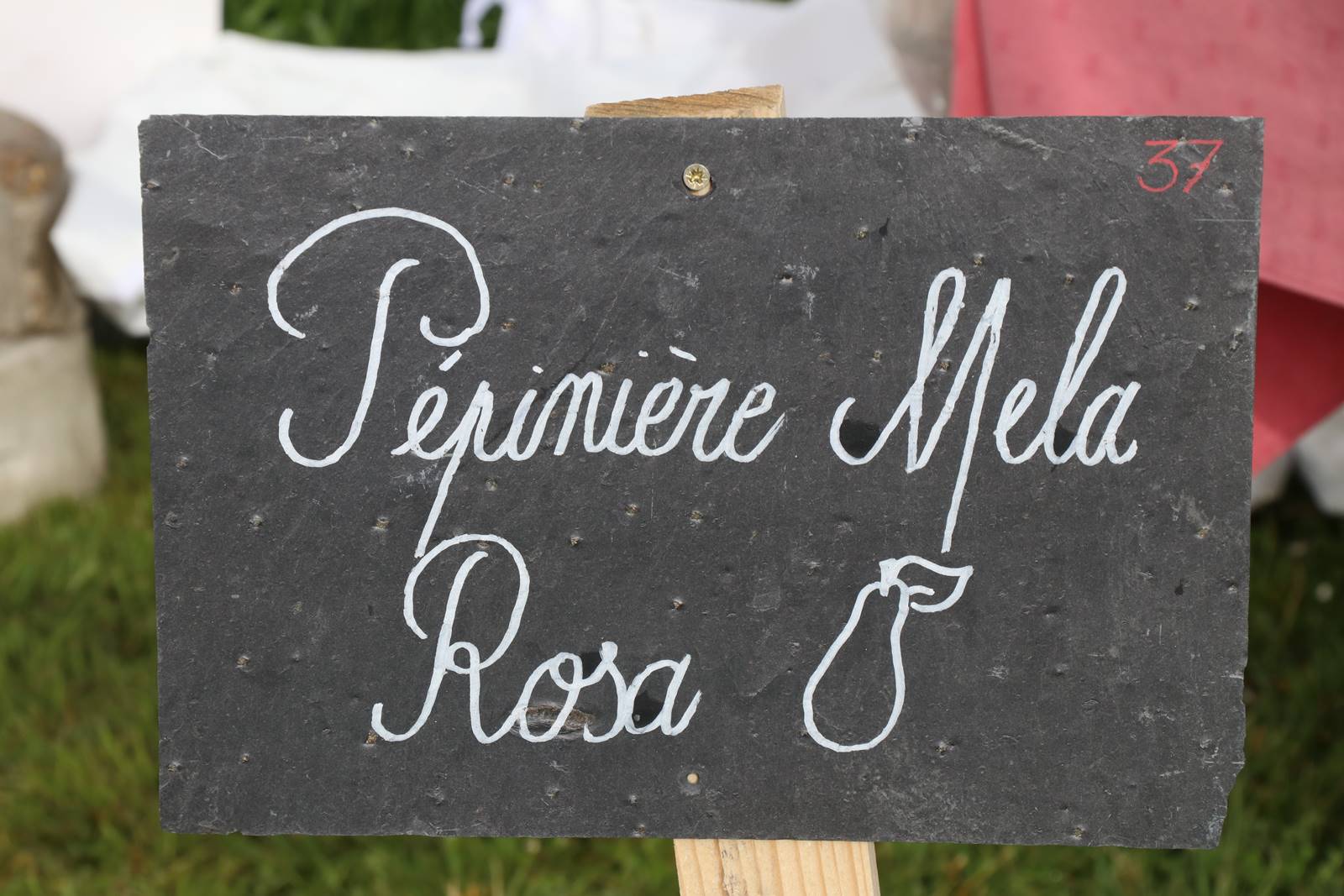 Abbaye Saint Georges (7)