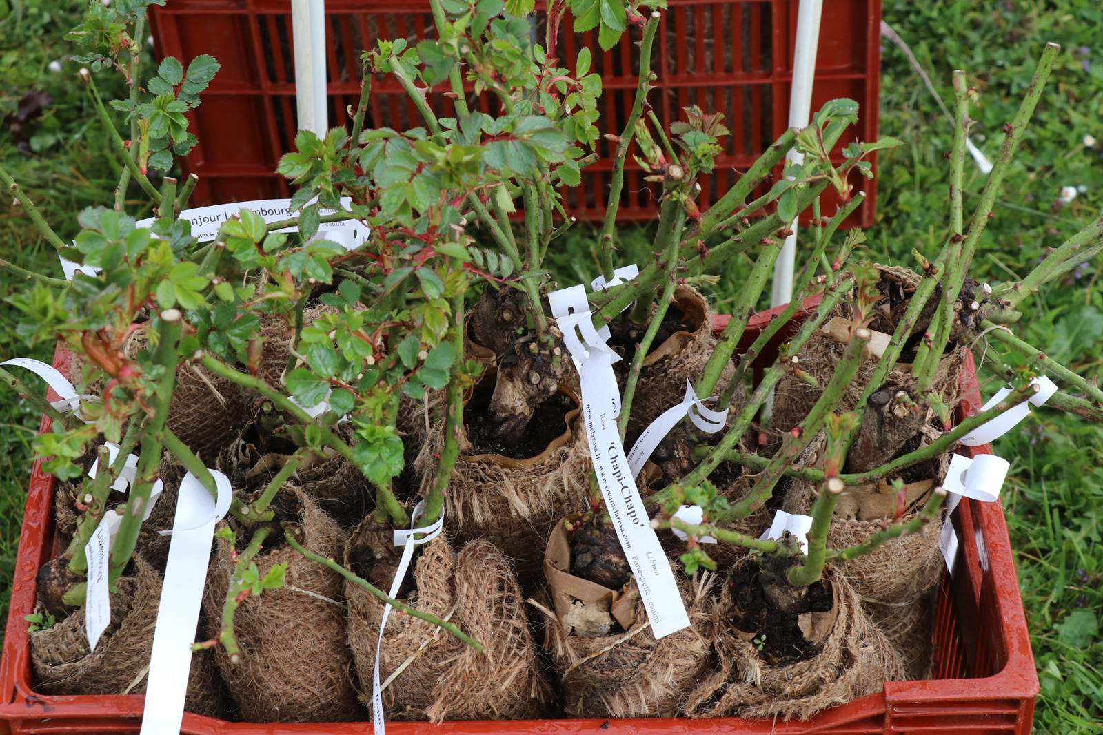 Abbaye Saint Georges (8)