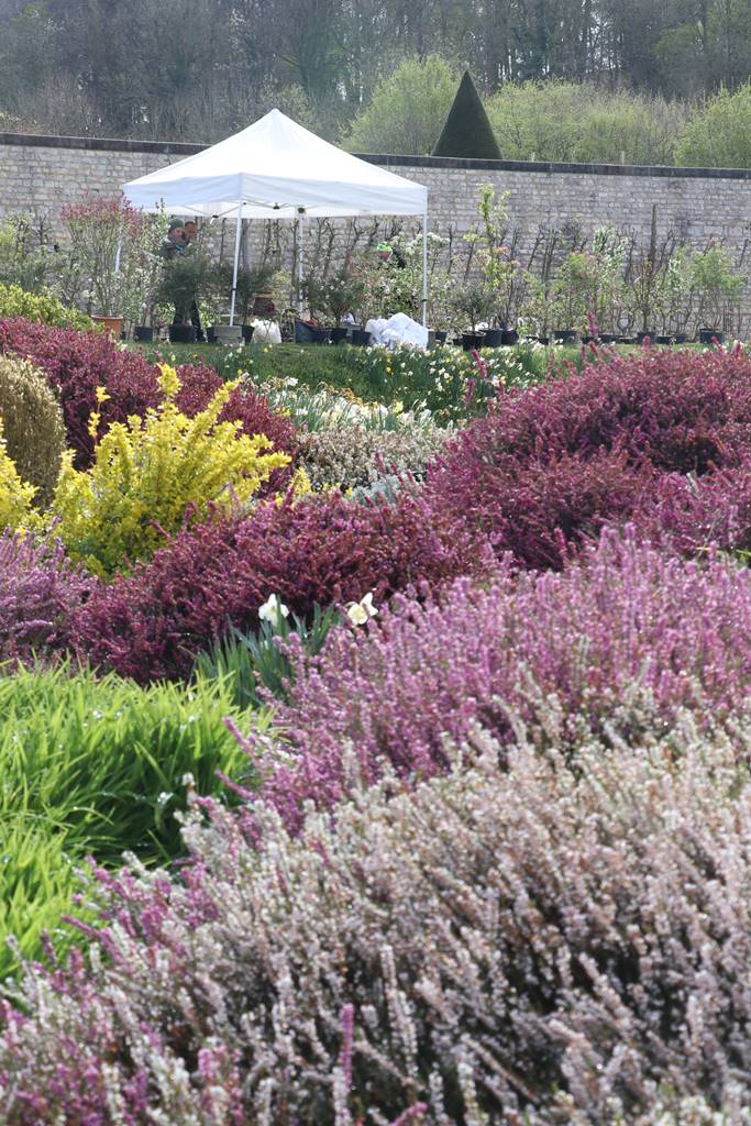 Fete des plantes Abbaye Saint Georges (1)
