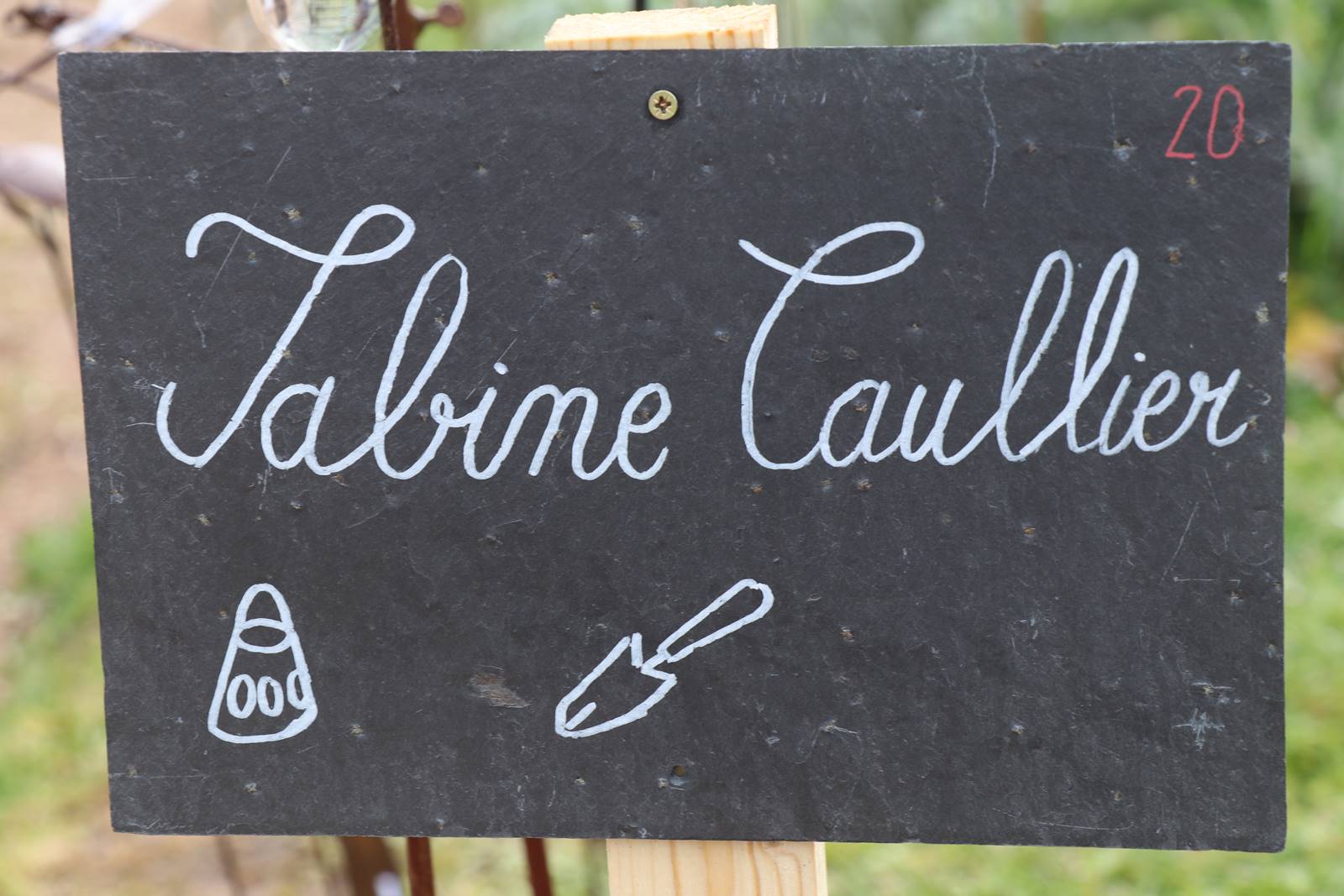 Fete des plantes Abbaye Saint Georges (17)