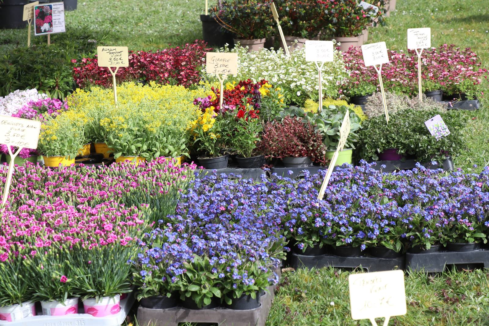 Fete des plantes Abbaye Saint Georges (21)