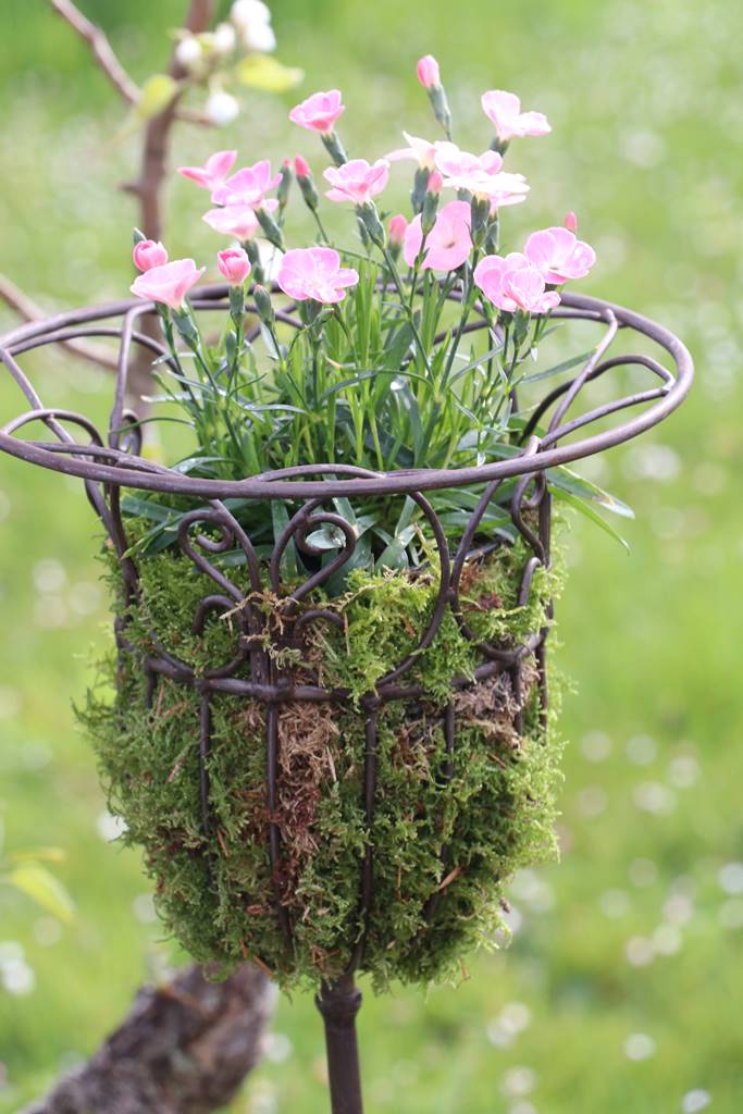 Fete des plantes Abbaye Saint Georges (26)