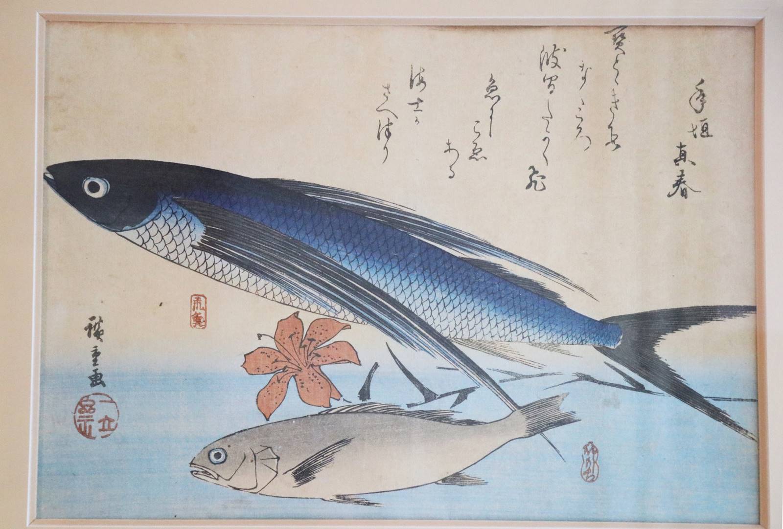 Fondation Claude Monet (11)