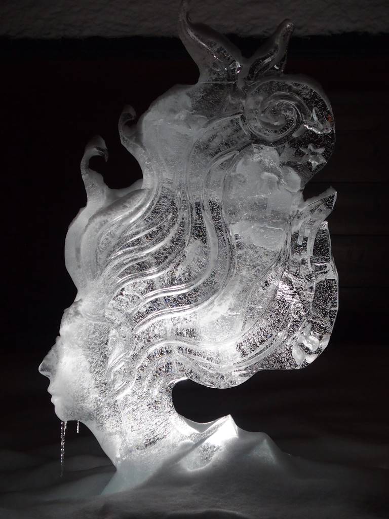 Arctic Snow Hotel Laponie