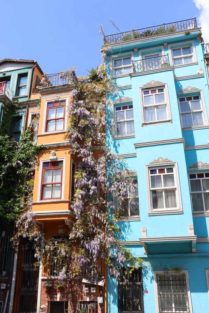 Maisons Istanbul (5)
