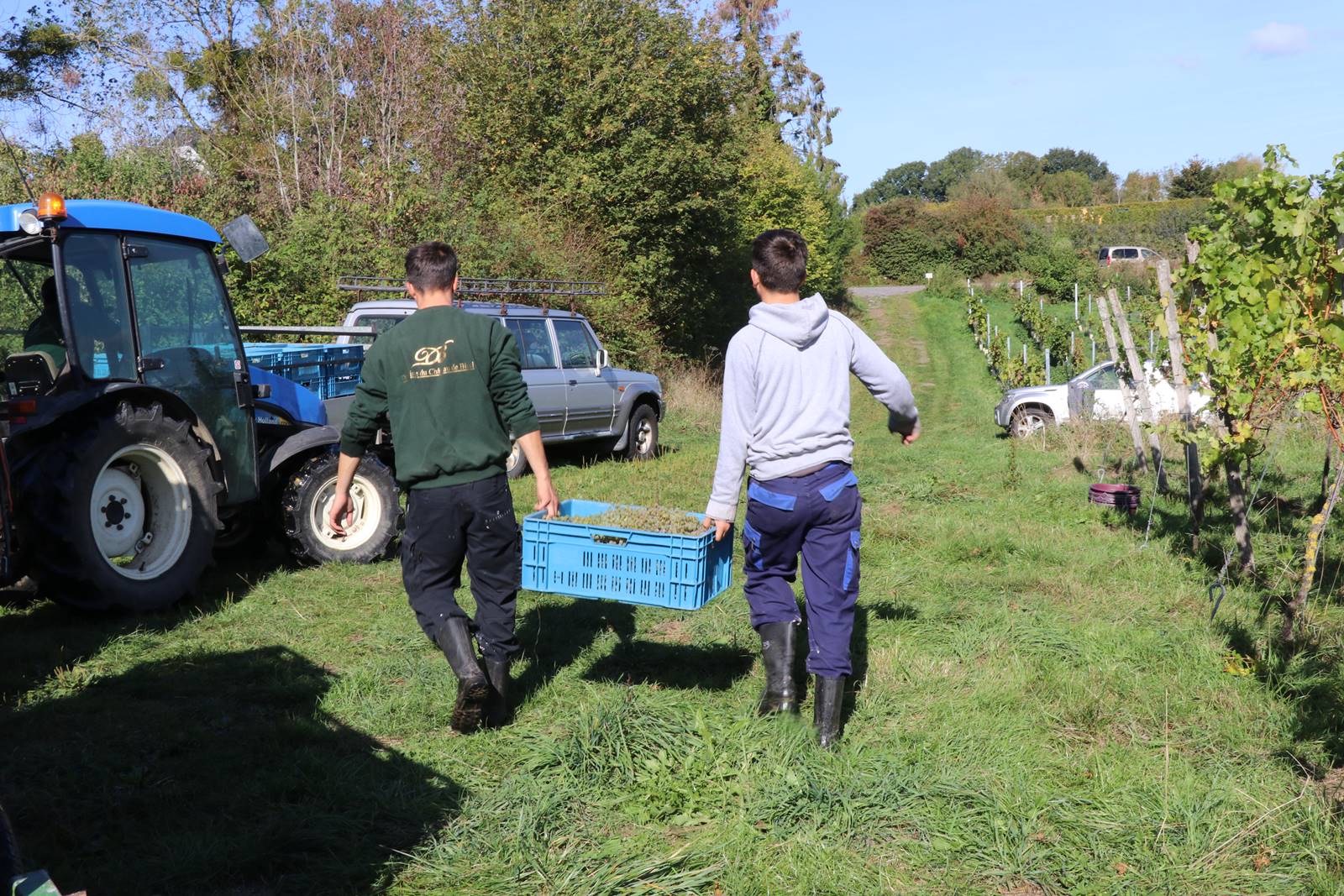 Bioul Vaxelaire (29)