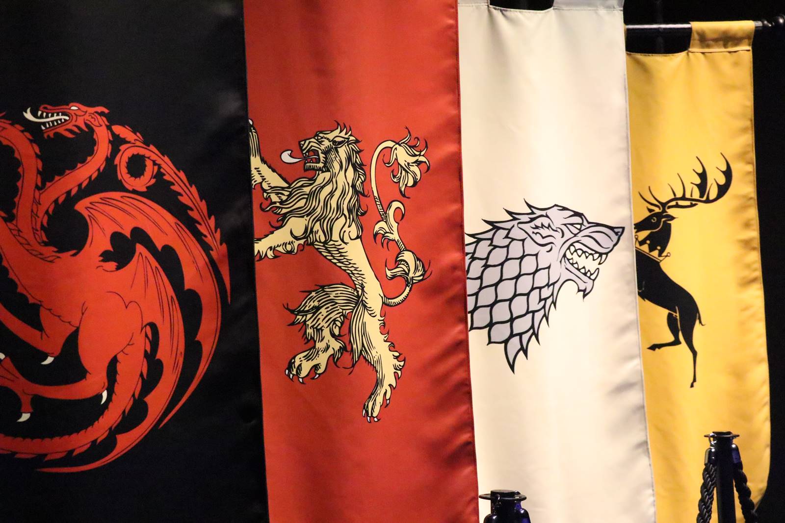 Déco trone de Fer (1)