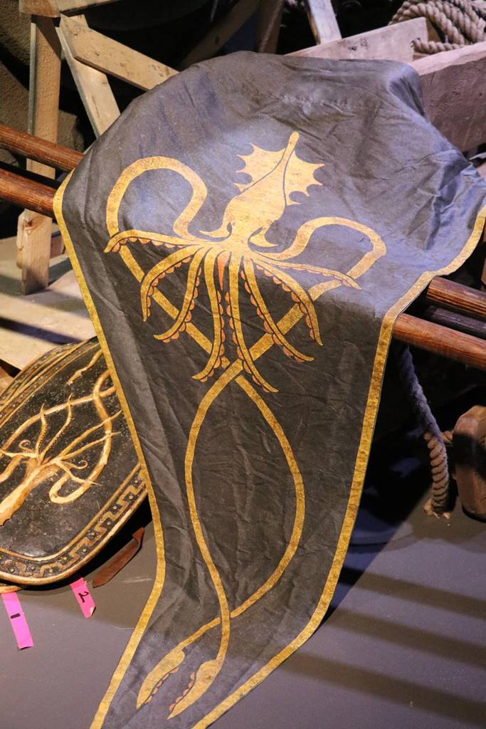 Déco trone de Fer (13)