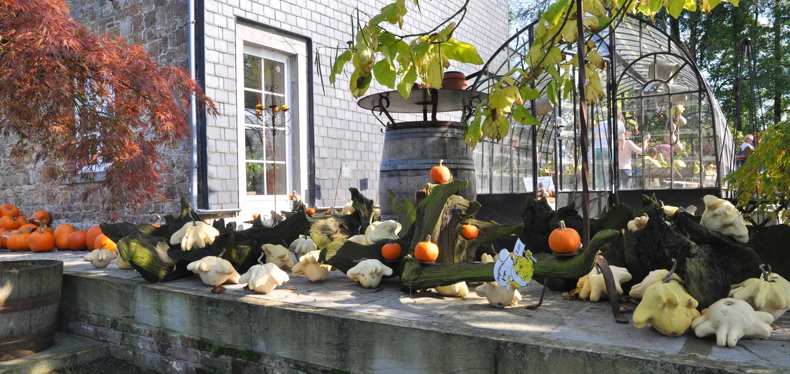 Vertumne Ohey (22) Vertumne Ohey (22)