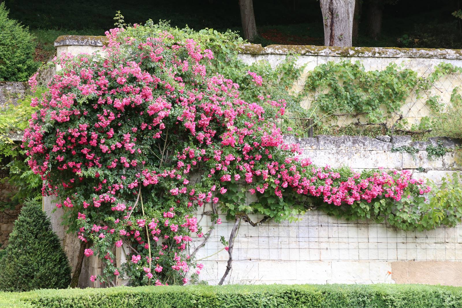 Poncé sur le Loir (12) Poncé sur le Loir (12)