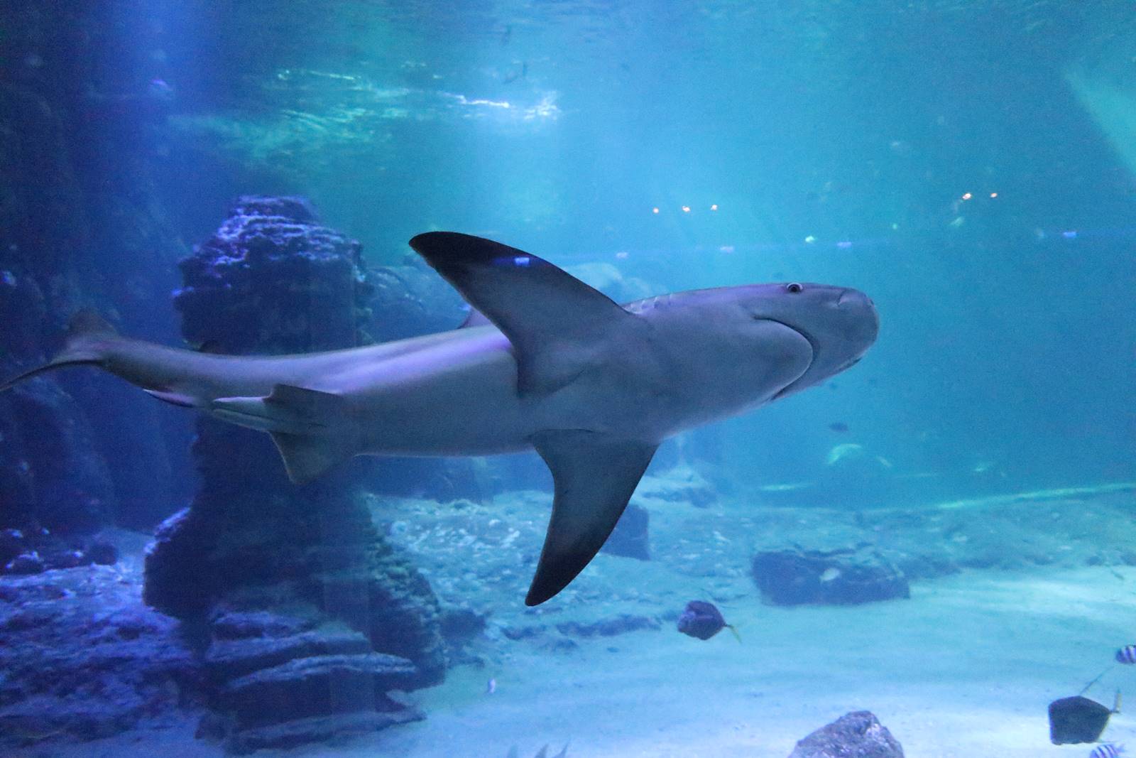 Boulogne sur Mer (10)