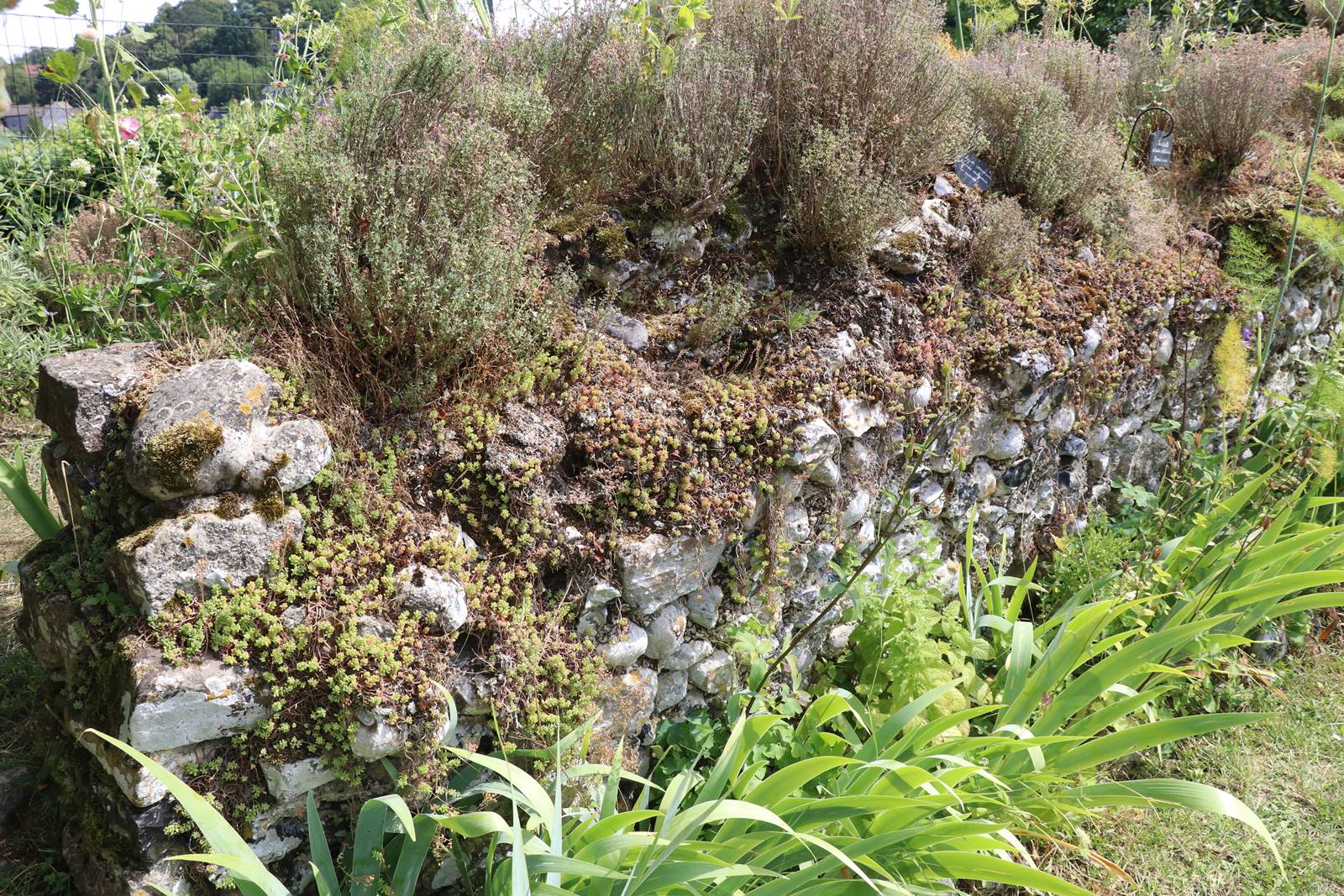 St Valery sur Somme (11)