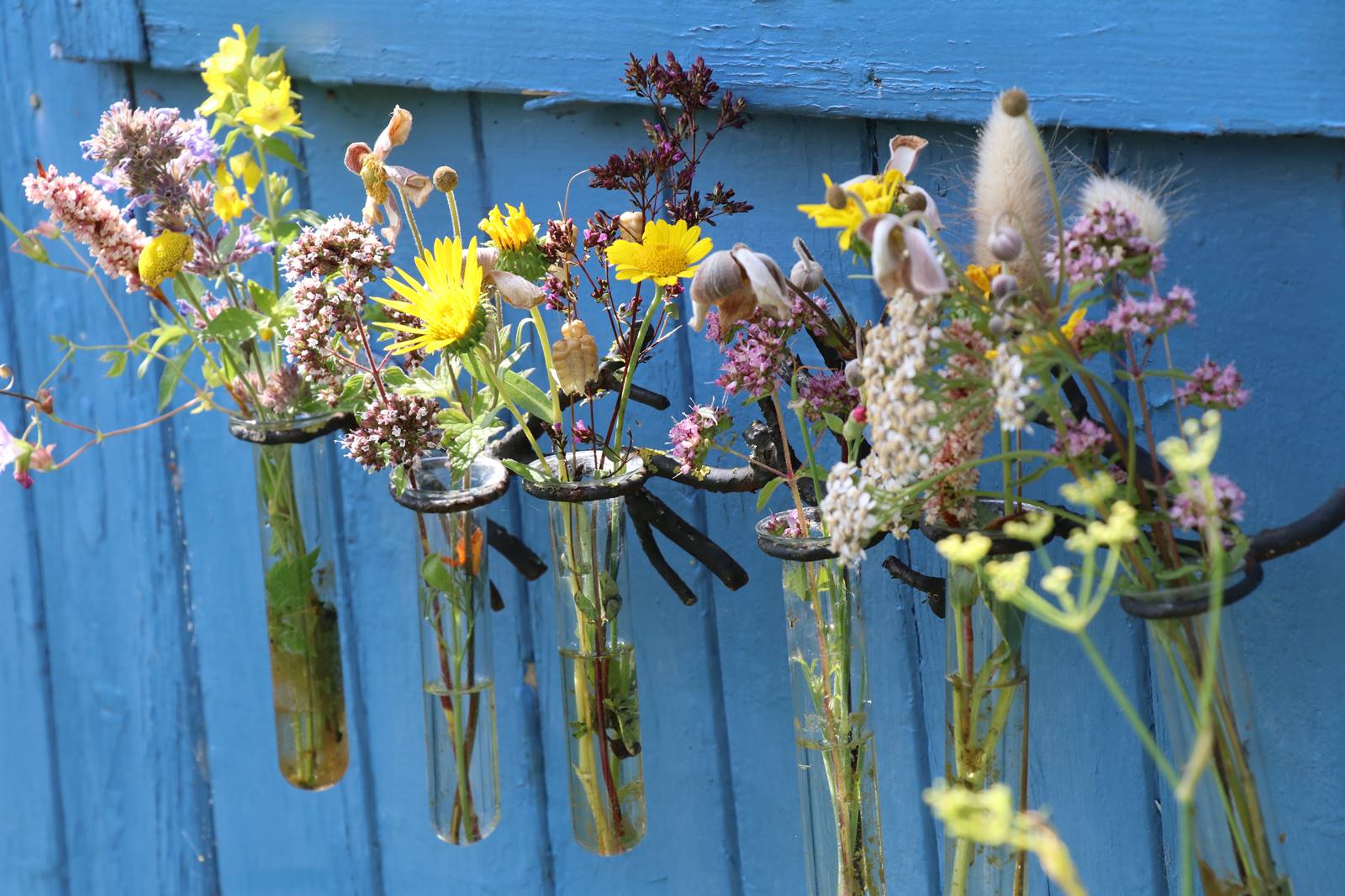 St Valery sur Somme (14)