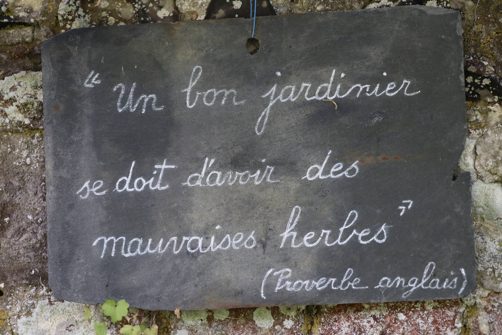 St Valery sur Somme (17)