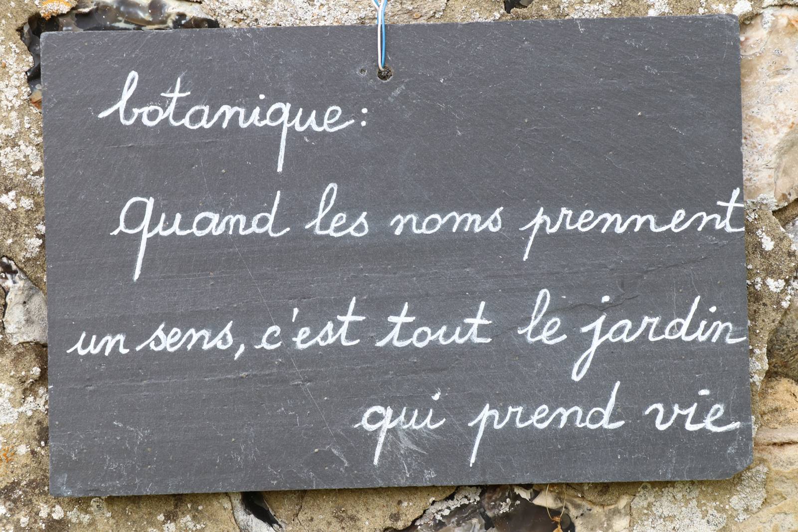 St Valery sur Somme (28)