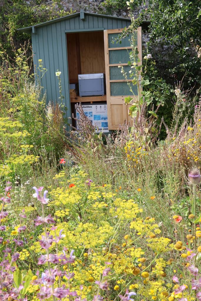 St Valery sur Somme (42)