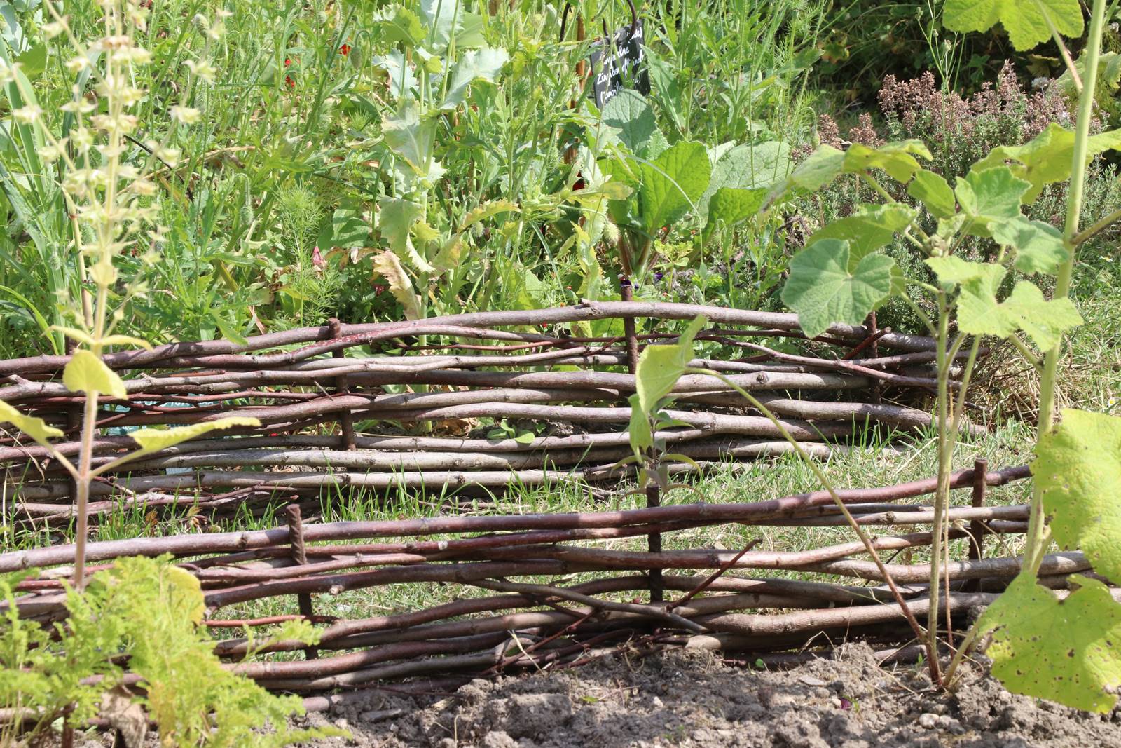 St Valery sur Somme (43)