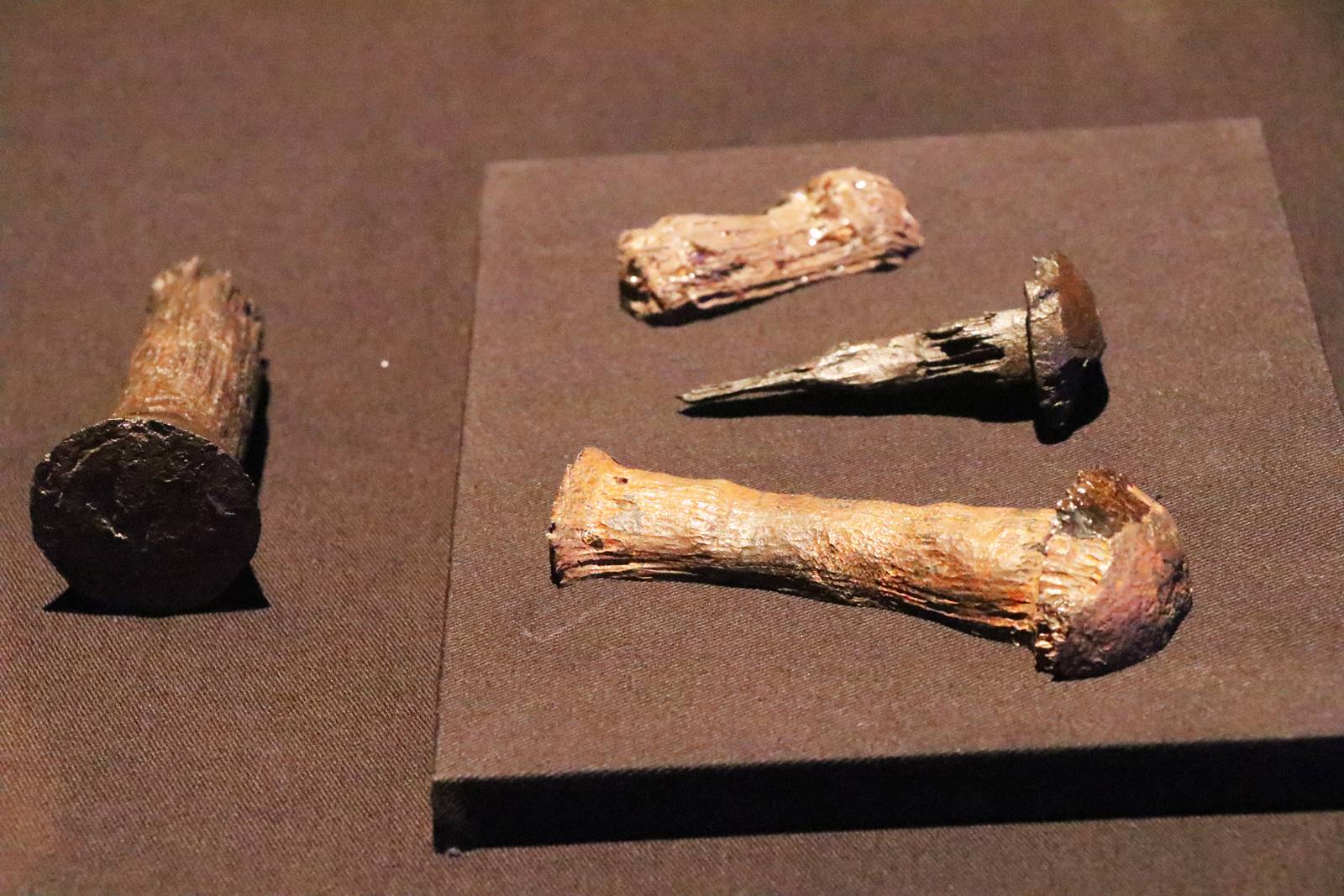 Titanic Expo (9) Titanic Expo (9)