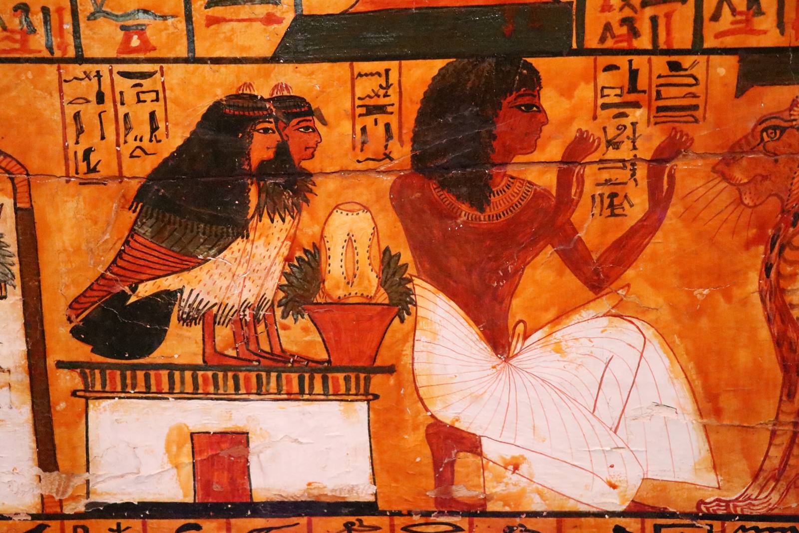 webIMG_7324 webIMG_7324