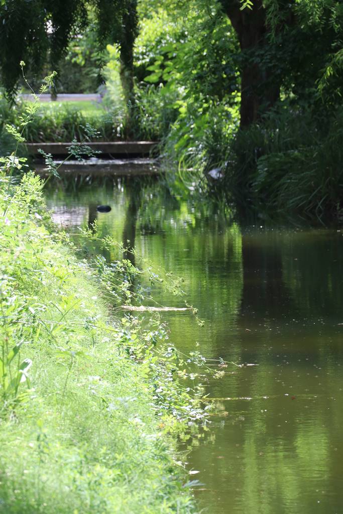 Abbbaye de Valloires (1)