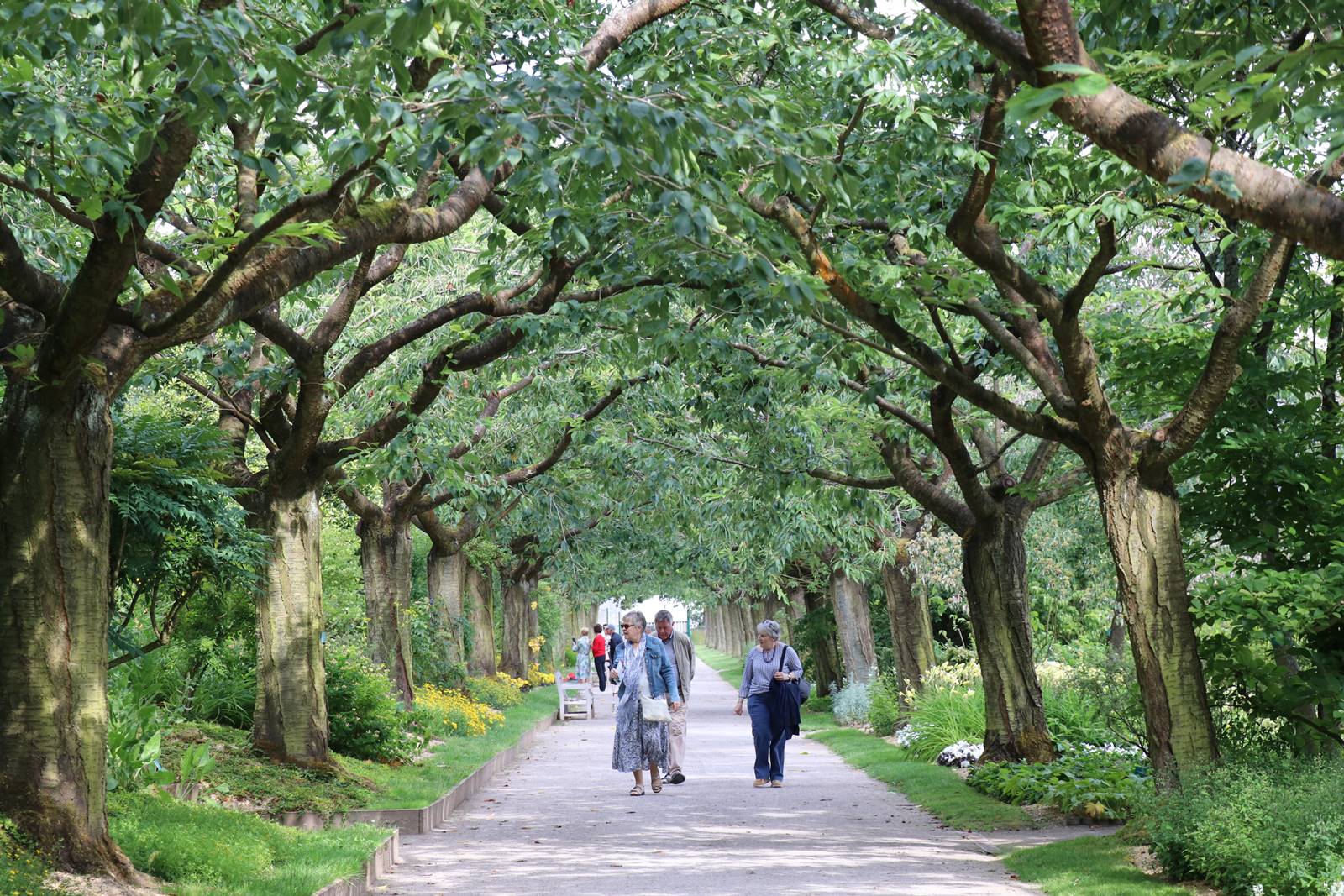 Abbbaye de Valloires (3)