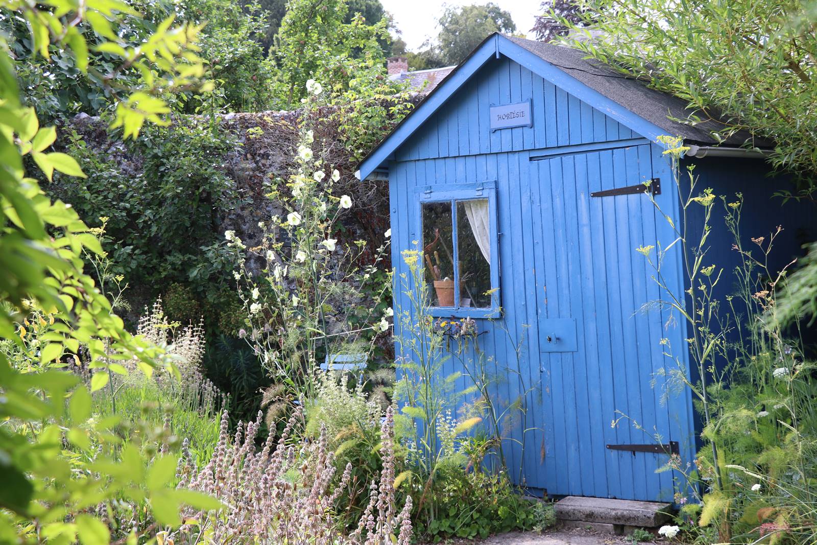 Herbarium St Valery (3)