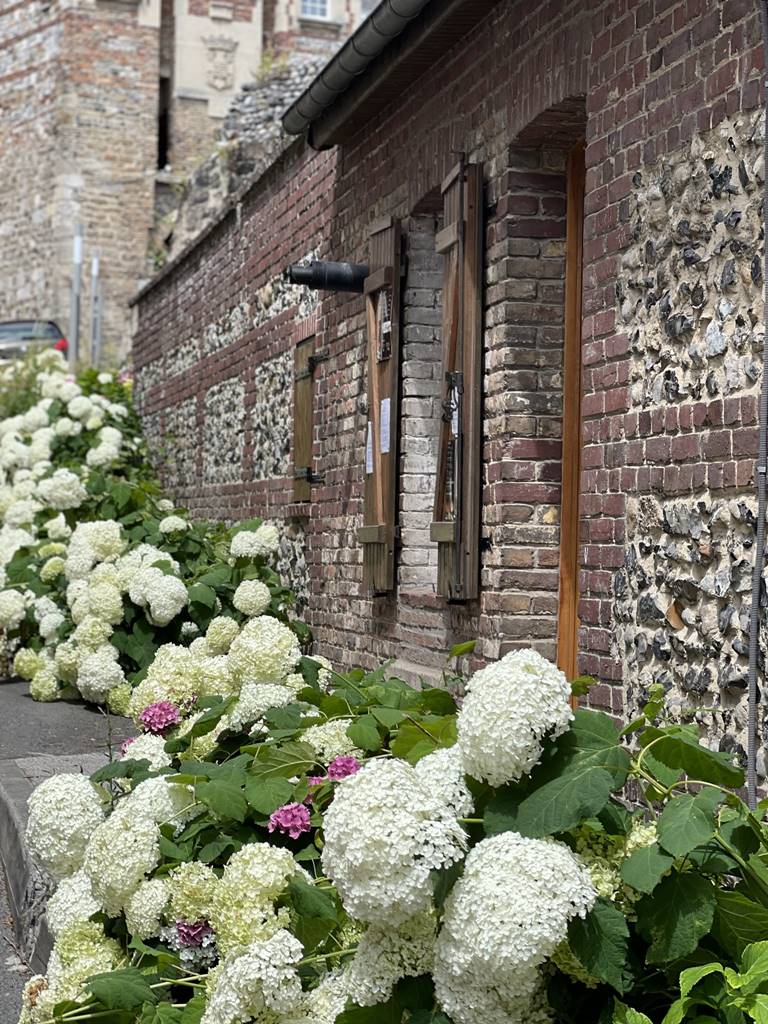 Saint-Valery-sur-Somme (24)