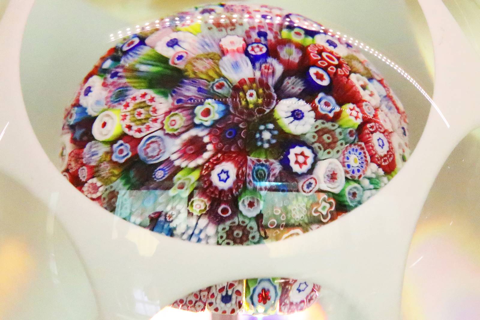 Cristal Saint Louis (17)