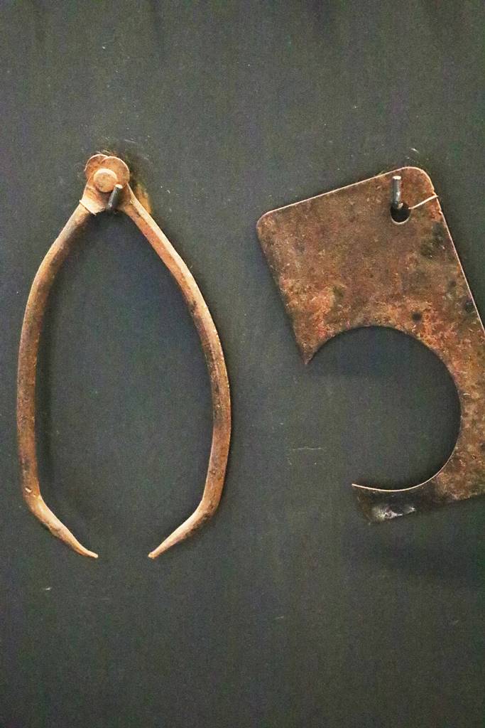 Cristal Saint Louis (59)