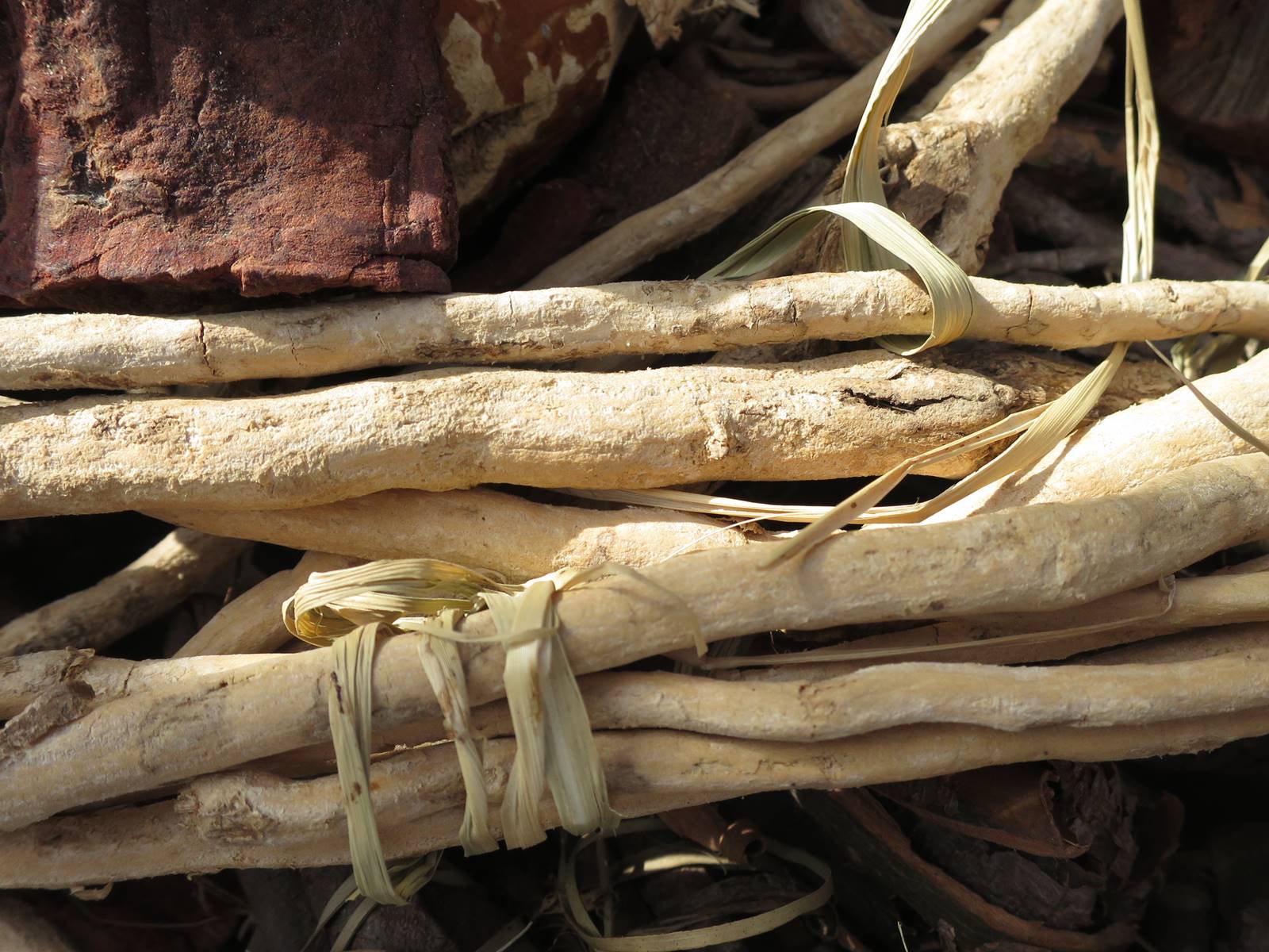 Plantes médicinales Madagascar (5)
