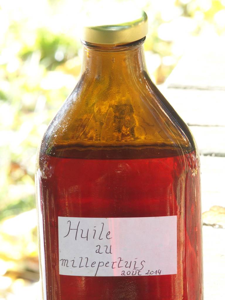 Plantes médicinales non toxiques