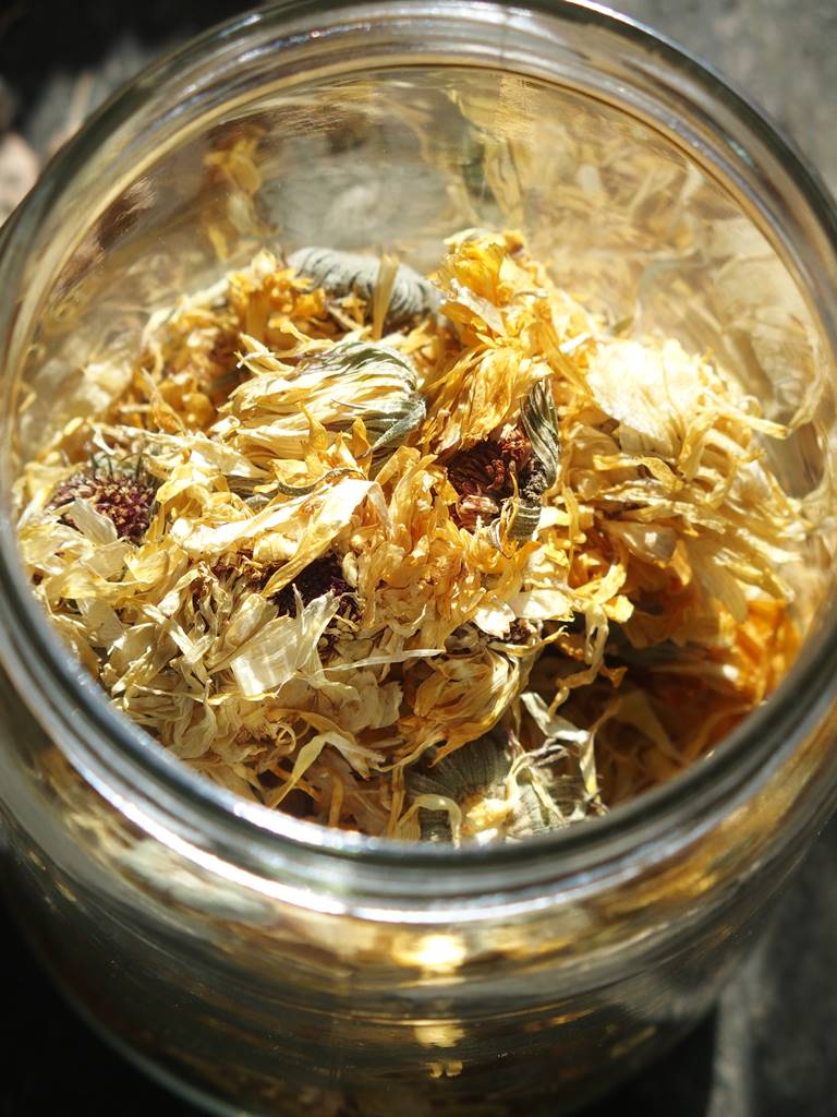 Plantes médicinales non toxiques