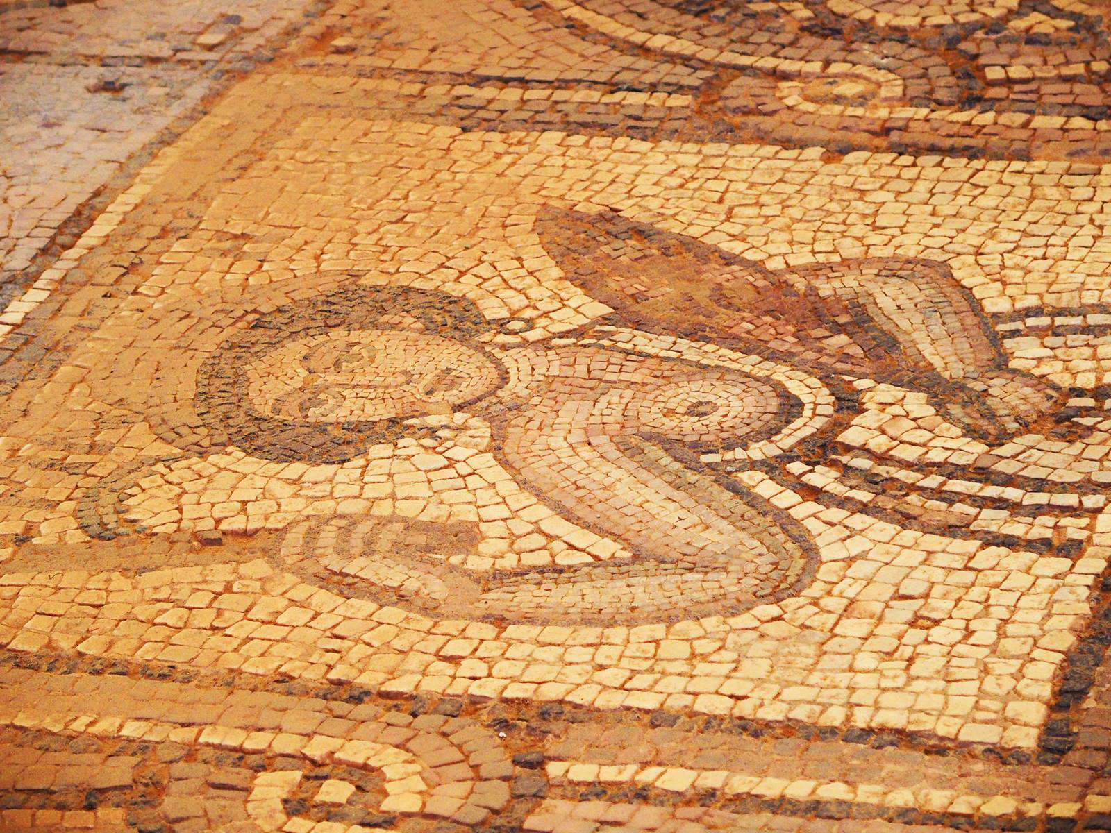 Pétra mosaïque byzantine