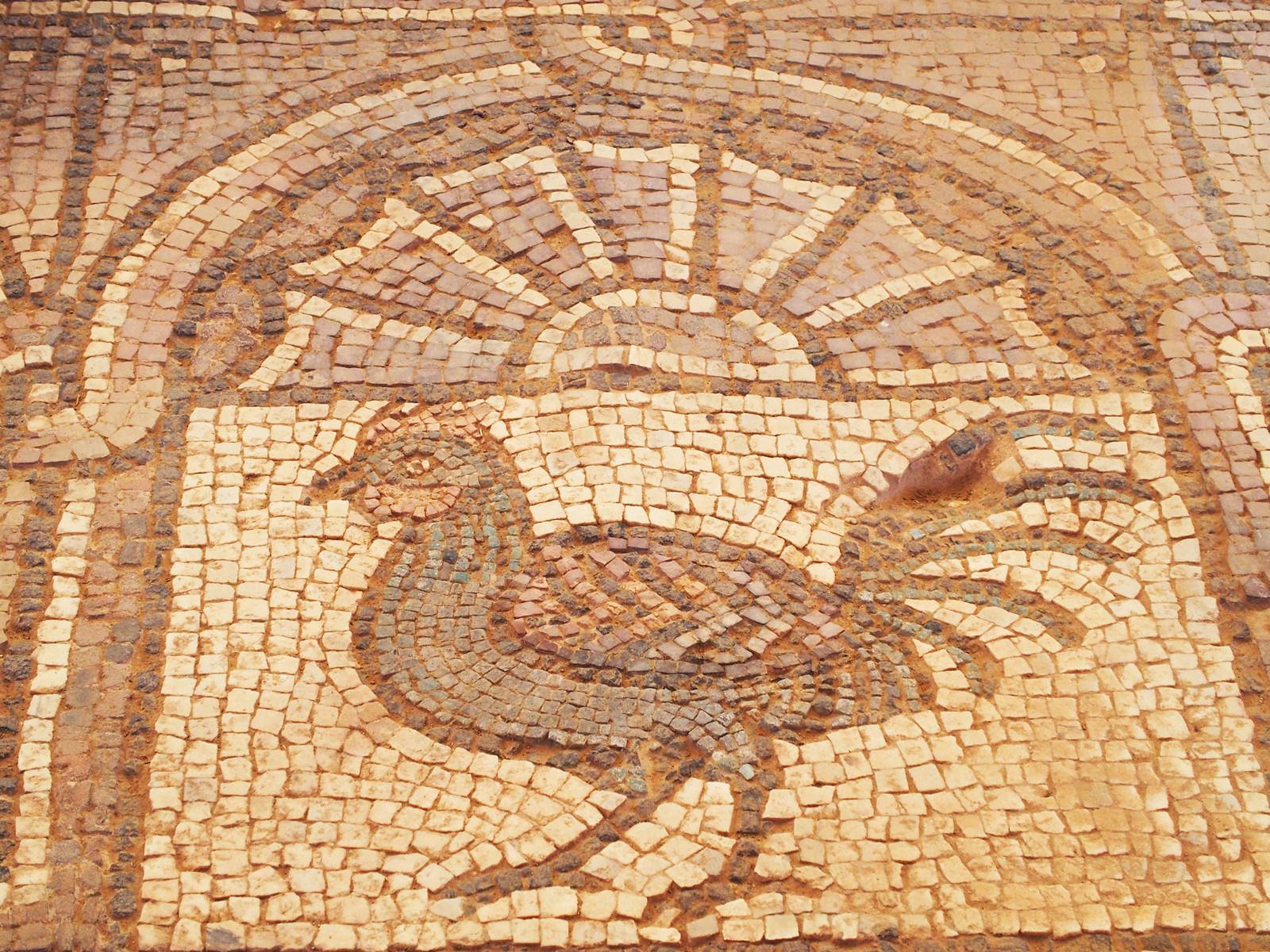 Pétra mosaïque byzantine