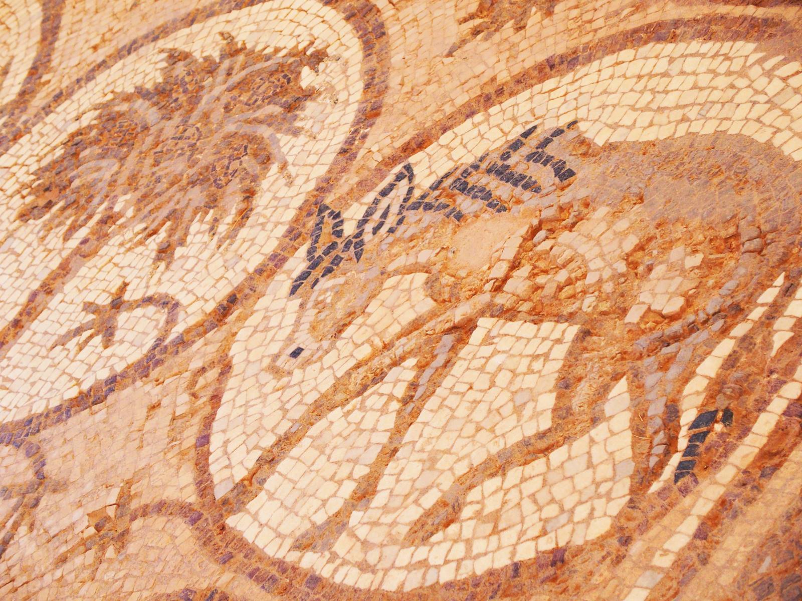 Pétra mosaïque byzantine