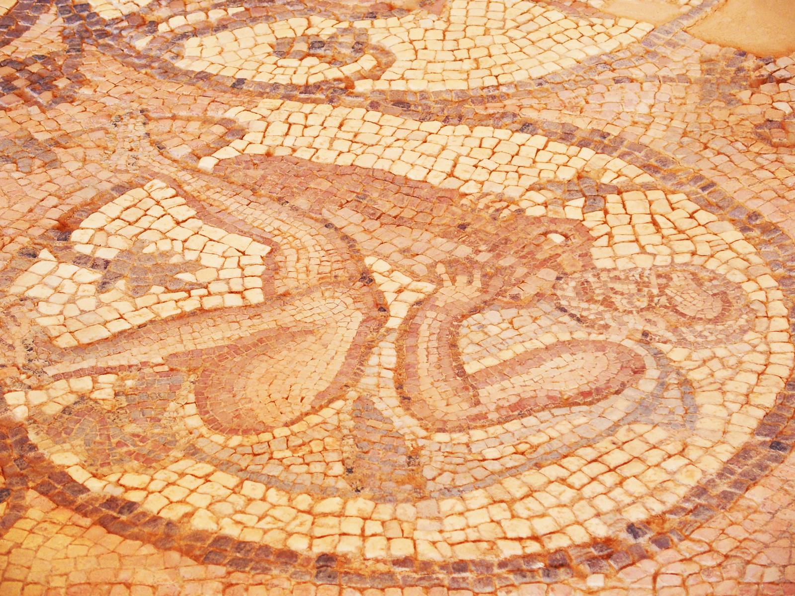 Pétra mosaïque byzantine