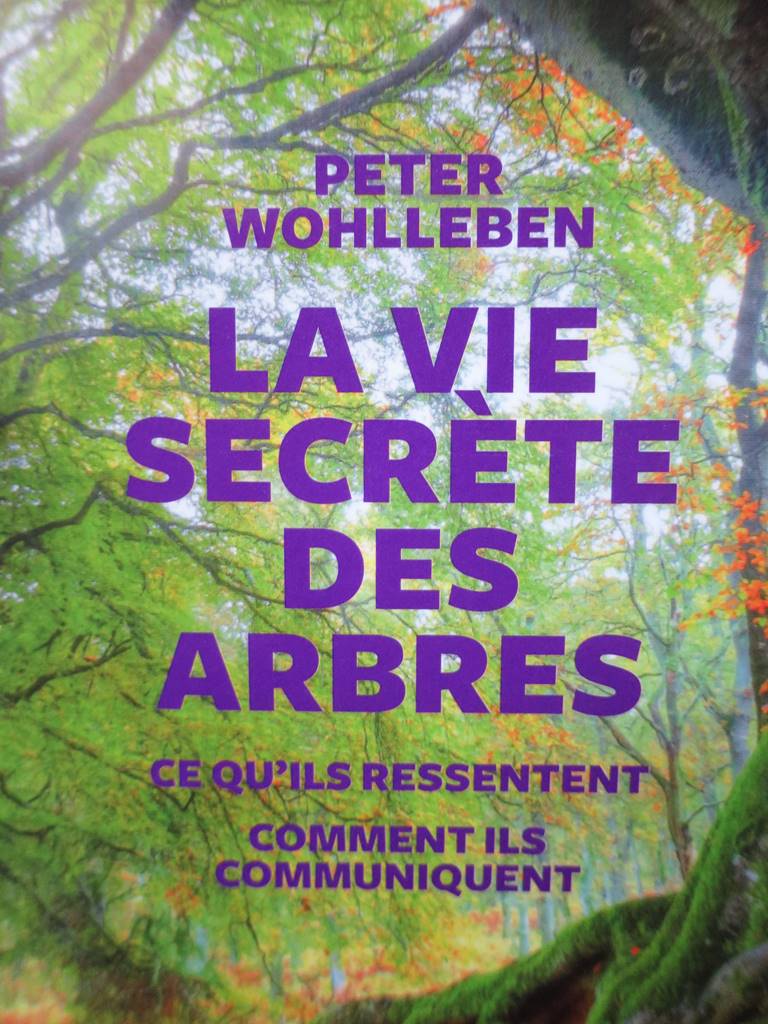 Arbres (4)