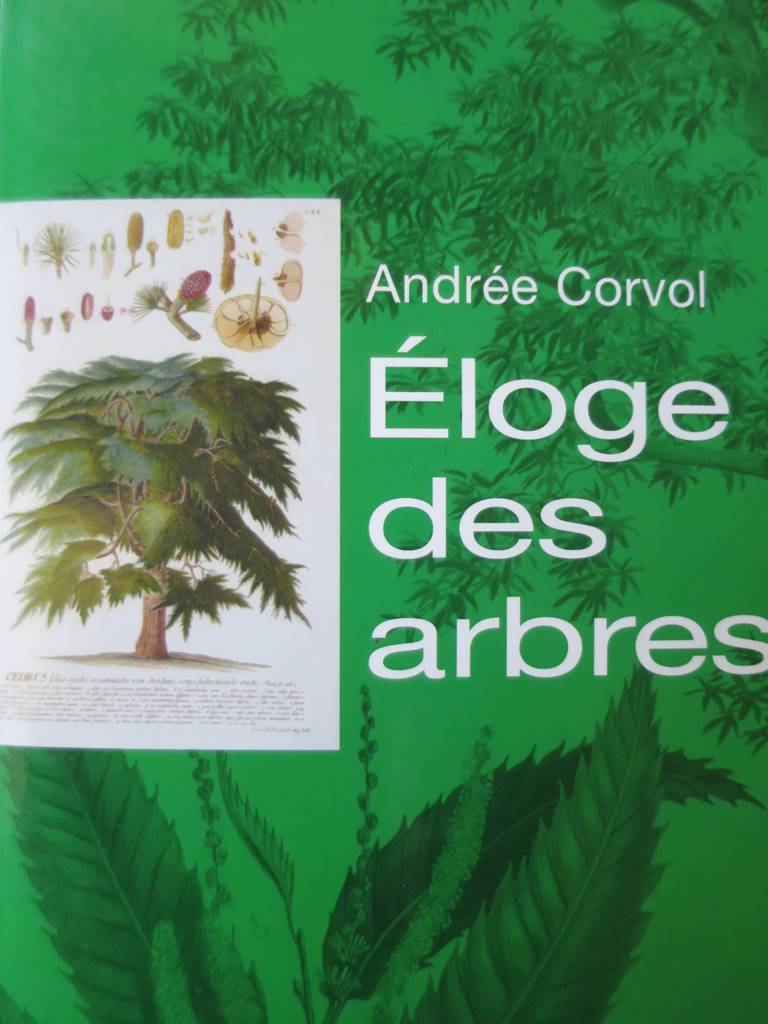 Arbres (6)