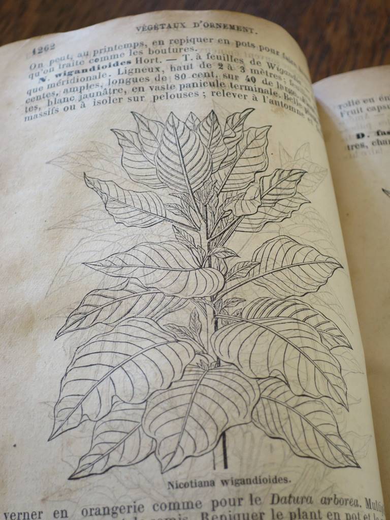 Livres anciens (27)