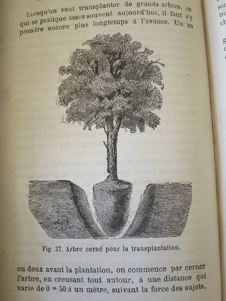 Livres anciens (36)