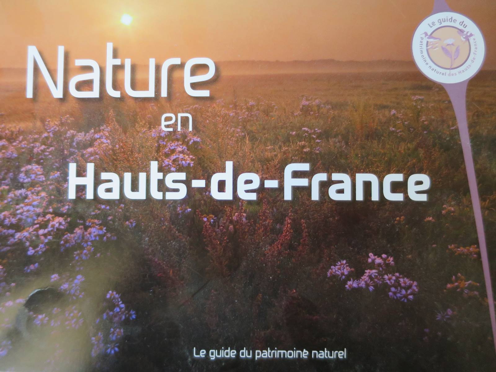 Livres modernes (13)