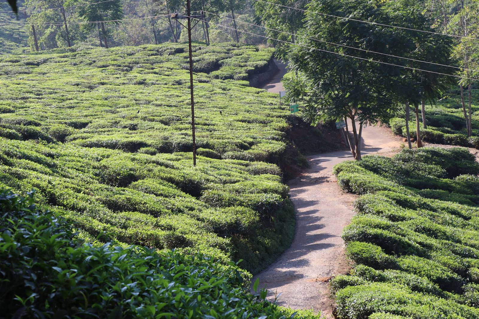 Kerrala montagnes (22)