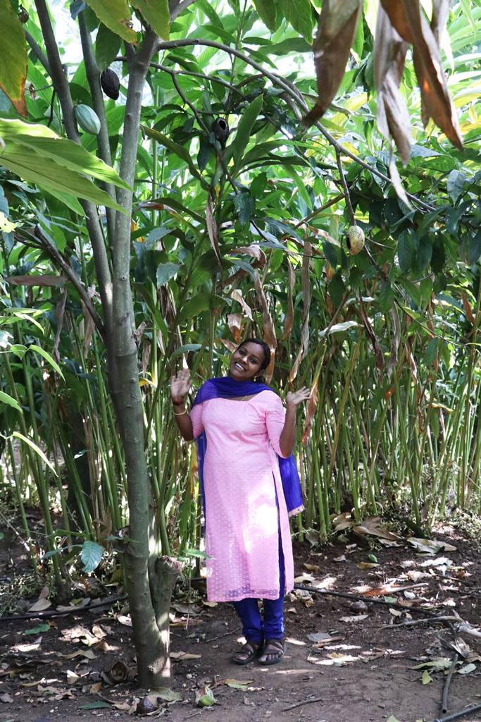 Kerrala montagnes (28)