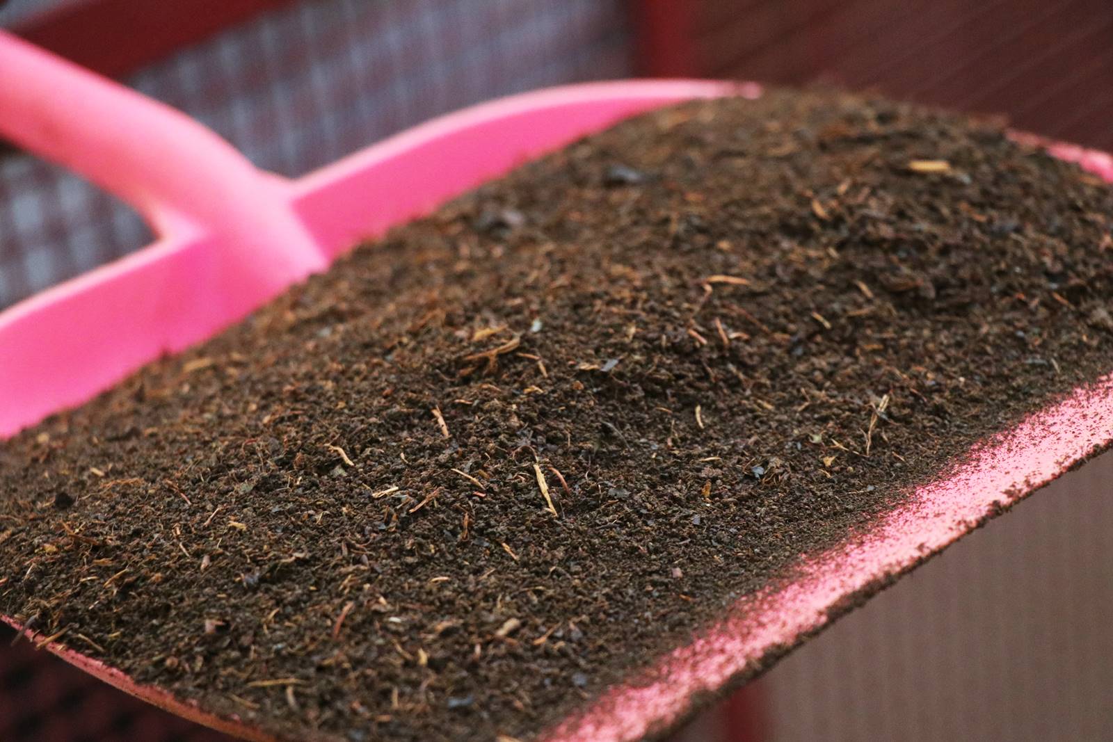 Kerrala montagnes (43)