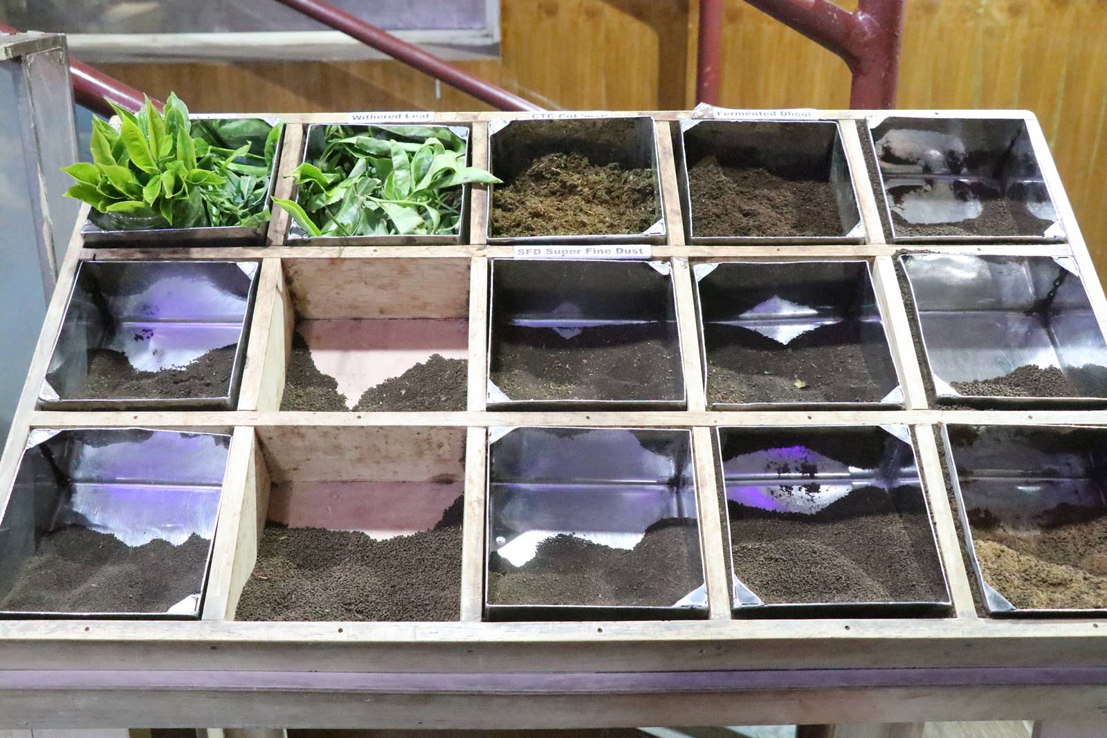 Kerrala montagnes (44)