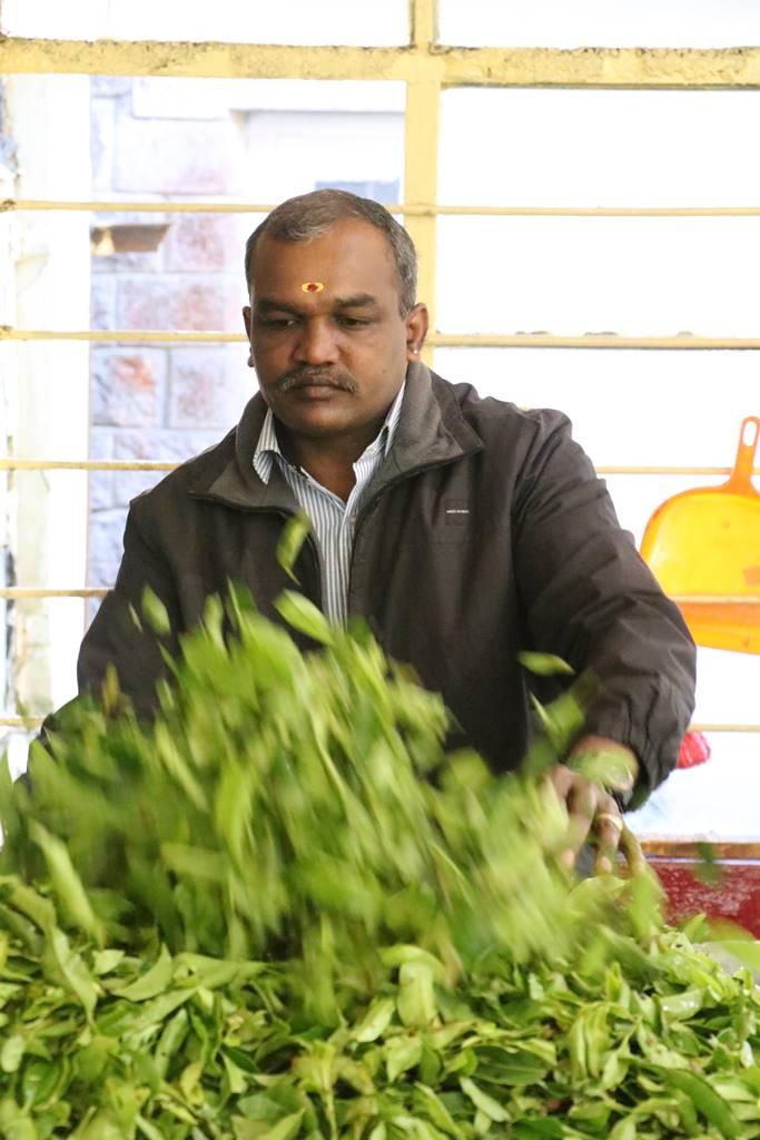 Kerrala montagnes (45)